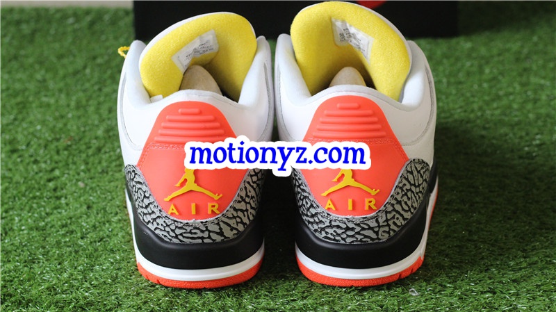 Authentic Air Jordan 3 Retro Solefly